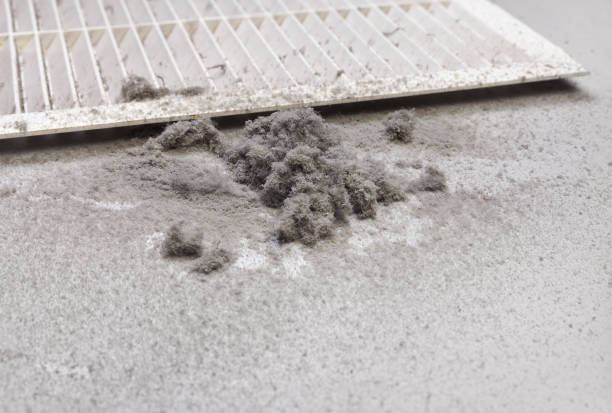 Best Air Duct Cleaning Near Me in Shrewsbury, MO