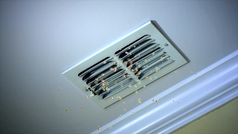 Best Affordable HVAC Duct Cleaning  in Shrewsbury, MO