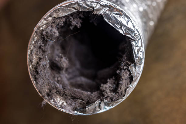 Best Local Air Duct Cleaning Services  in Shrewsbury, MO